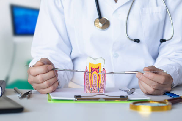 Best Urgent Care for Lost Fillings or Crowns in Flat Rock, NC